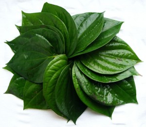 betealleaf