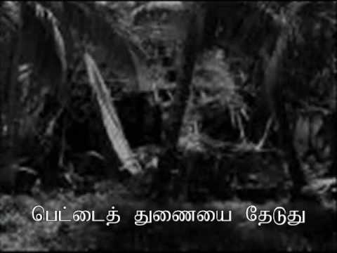 மெல்லிசைத்தூதன் P.B.ஸ்ரீனிவாஸ் – T.சௌந்தர்