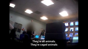 animals_blurred