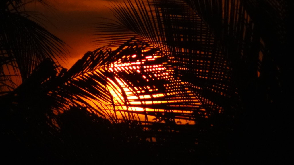 Sunset_in_jaffna