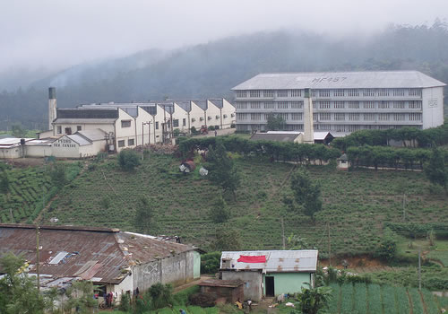 அரசியல் தலைவர்களாலும், அரசாங்கத்தாலும் ஏமாற்றப்படும் மலையகத் தொழிலாளர்கள் : சட்டத்தரணி எஸ். மோகனராஜன்