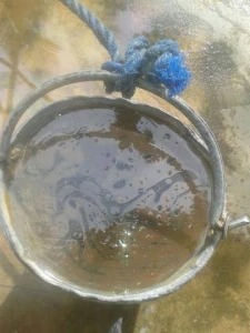 தேசியத்தைக் கூறுபோட்டுக் குதறும் தமிழ் அரசியல் கழுகுகள் : கோசலன்