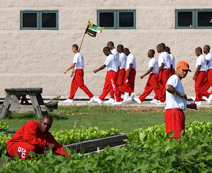 அடிமை முறை அமெரிக்காவில் இன்றும் நடைமுறையிலுள்ளது : அதிர்ச்சித் தகவல்கள்