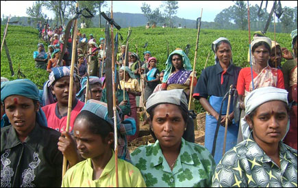 கூட்டு ஒப்பந்தம் மலையக தொழிற்சங்கங்களின் இயலாமையும் அரசியல் தலைமைகளின் ஆளும் வர்க்க சார்பையும் வெளிப்படுத்தியுள்ளது