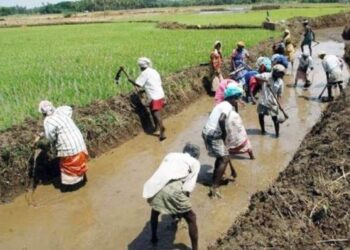 நூறு நாள் வேலைத் திட்டத்தை முடக்க முயற்சி!